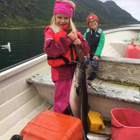 Hus I Lofoten Holiday home Laupstad
